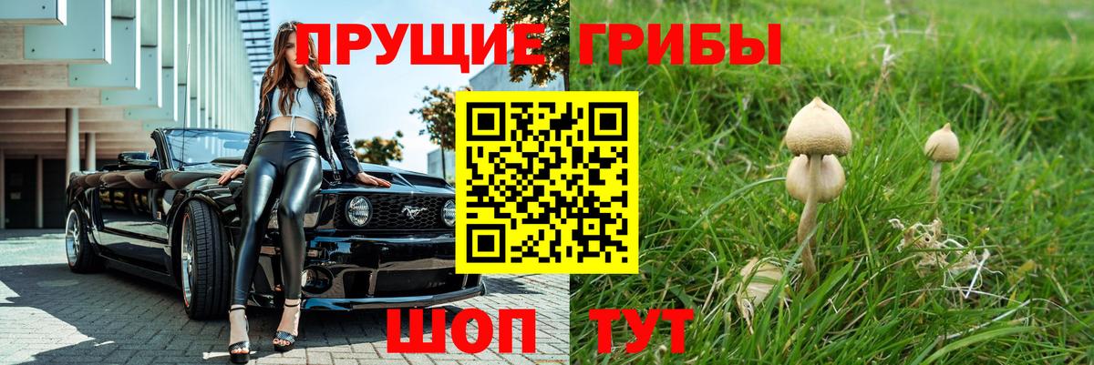 Псилоцибиновые грибы ЛСД Тверь