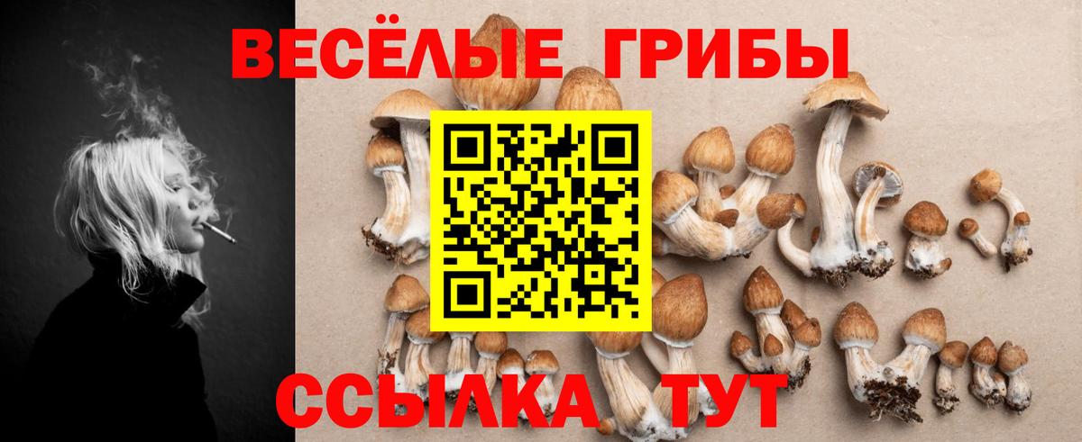 Псилоцибиновые грибы Magic Shrooms  Вход с VPN  Тверь  Псилоцибиновые грибы Magic Shrooms 